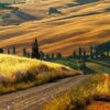 Gallery Post