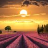 Link Post